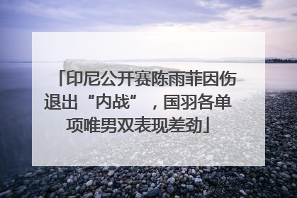 印尼公开赛陈雨菲因伤退出“内战”，国羽各单项唯男双表现差劲