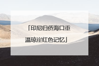 印尼归侨海口重温琼崖红色记忆