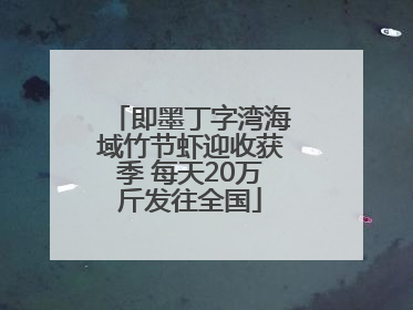 即墨丁字湾海域竹节虾迎收获季 每天20万斤发往全国