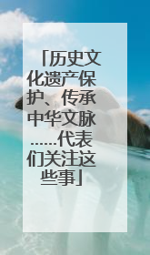 历史文化遗产保护、传承中华文脉……代表们关注这些事