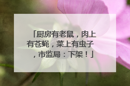 厨房有老鼠，肉上有苍蝇，菜上有虫子，市监局：下架！
