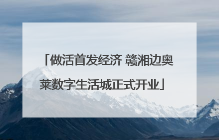 做活首发经济 赣湘边奥莱数字生活城正式开业