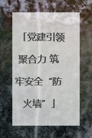 党建引领聚合力 筑牢安全“防火墙”