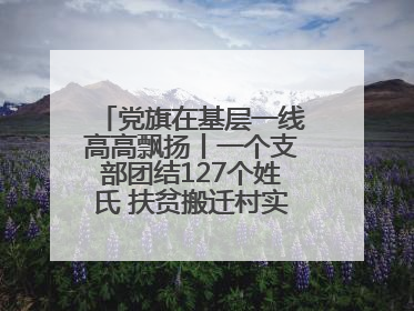 党旗在基层一线高高飘扬丨一个支部团结127个姓氏 扶贫搬迁村实现振兴嬗变