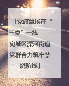 党旗飘扬在“三夏”一线——宛城区溧河街道党群合力筑牢禁烧防线