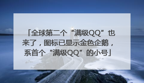 全球第二个“满级QQ”也来了，图标已显示金色企鹅，系首个“满级QQ”的小号
