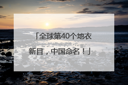 全球第40个地衣新目，中国命名！