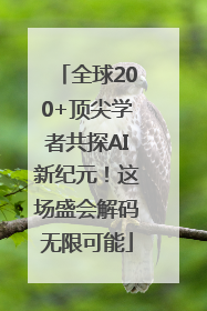 全球200+顶尖学者共探AI新纪元！这场盛会解码无限可能