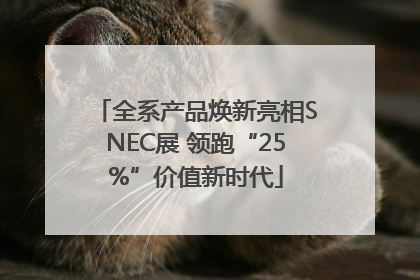 全系产品焕新亮相SNEC展 领跑“25%”价值新时代