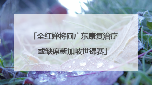 全红婵将回广东康复治疗 或缺席新加坡世锦赛