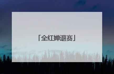 全红婵退赛