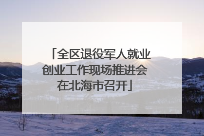 全区退役军人就业创业工作现场推进会在北海市召开