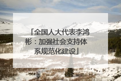 全国人大代表李鸿彬：加强社会支持体系规范化建设