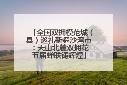 全国双拥模范城（县）巡礼新疆沙湾市：天山北麓双拥花 五届蝉联铸辉煌