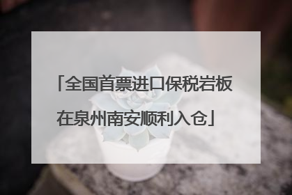 全国首票进口保税岩板在泉州南安顺利入仓