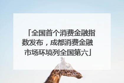 全国首个消费金融指数发布，成都消费金融市场环境列全国第六
