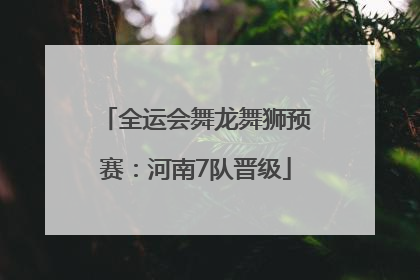 全运会舞龙舞狮预赛：河南7队晋级