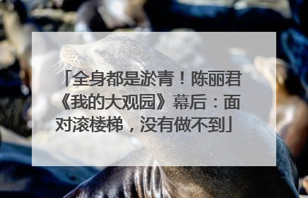 全身都是淤青！陈丽君《我的大观园》幕后：面对滚楼梯，没有做不到