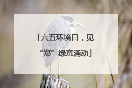 六五环境日，见“郑”绿意涌动