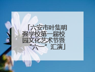六安市叶集明强学校第一届校园文化艺术节暨“六一”汇演