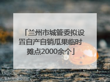 兰州市城管委拟设置自产自销瓜果临时摊点2000余个