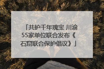 共护千年瑰宝 川渝55家单位联合发布《石窟联合保护倡议》