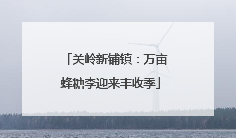 关岭新铺镇：万亩蜂糖李迎来丰收季