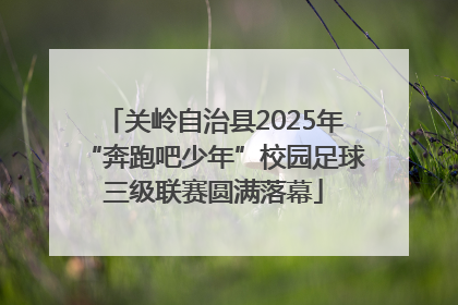 关岭自治县2025年“奔跑吧少年”校园足球三级联赛圆满落幕