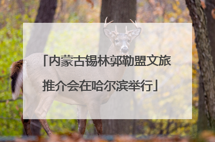 内蒙古锡林郭勒盟文旅推介会在哈尔滨举行