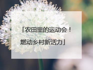 农田里的运动会！燃动乡村新活力