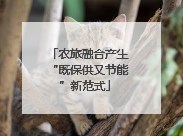农旅融合产生“既保供又节能”新范式