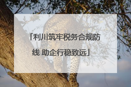 利川筑牢税务合规防线 助企行稳致远