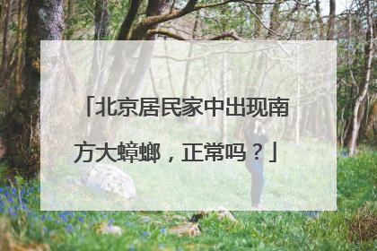 北京居民家中出现南方大蟑螂，正常吗？