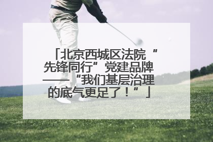 北京西城区法院“先锋同行”党建品牌——“我们基层治理的底气更足了！”