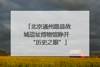 北京通州路县故城遗址博物馆睁开“历史之眼”