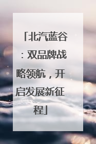 北汽蓝谷：双品牌战略领航，开启发展新征程