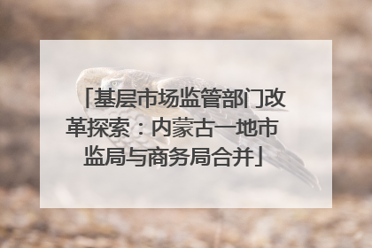 基层市场监管部门改革探索：内蒙古一地市监局与商务局合并