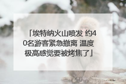 埃特纳火山喷发 约40名游客紧急撤离 温度极高感觉要被烤焦了