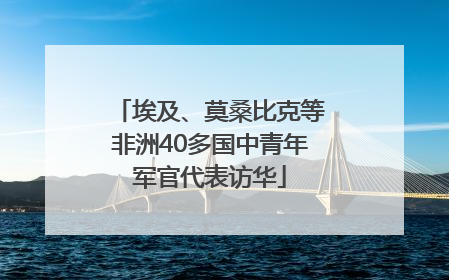 埃及、莫桑比克等非洲40多国中青年军官代表访华