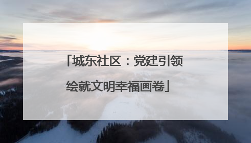 城东社区：党建引领绘就文明幸福画卷