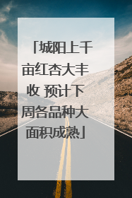 城阳上千亩红杏大丰收 预计下周各品种大面积成熟