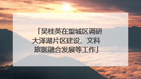 吴桂英在望城区调研大泽湖片区建设、文科旅医融合发展等工作