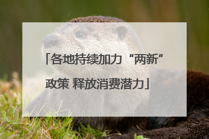各地持续加力“两新”政策 释放消费潜力
