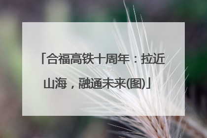合福高铁十周年：拉近山海，融通未来(图)