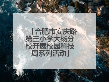 合肥市安庆路第三小学大杨分校开展校园科技周系列活动