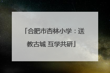 合肥市杏林小学：送教古城 互学共研