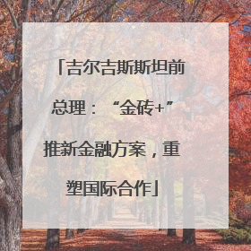 吉尔吉斯斯坦前总理：“金砖+”推新金融方案，重塑国际合作