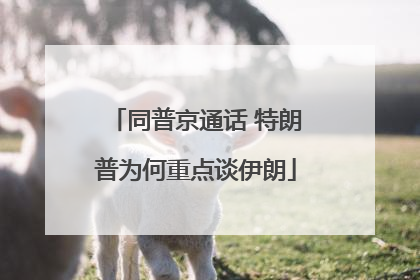 同普京通话 特朗普为何重点谈伊朗