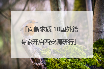 向新求质 10国外籍专家开启西安调研行