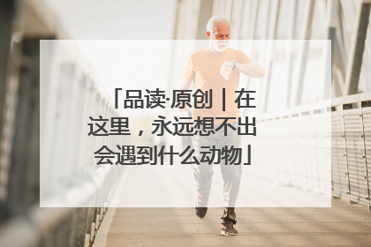 品读·原创｜在这里，永远想不出会遇到什么动物
